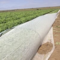 Manta térmica agrícola P17